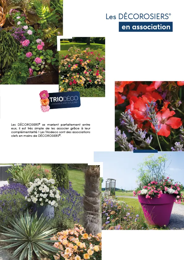 CATALOGUE_DECOROSIERS-17.webp