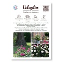 Plaquette A4 RV Voluptia recto.jpg