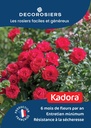 A4_DECOROSIERS_KADORA.jpg