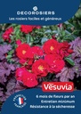 A4_DECOROSIERS_NEWVESUVIA.jpg