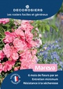 A4_DECOROSIERS_MAREVA.jpg