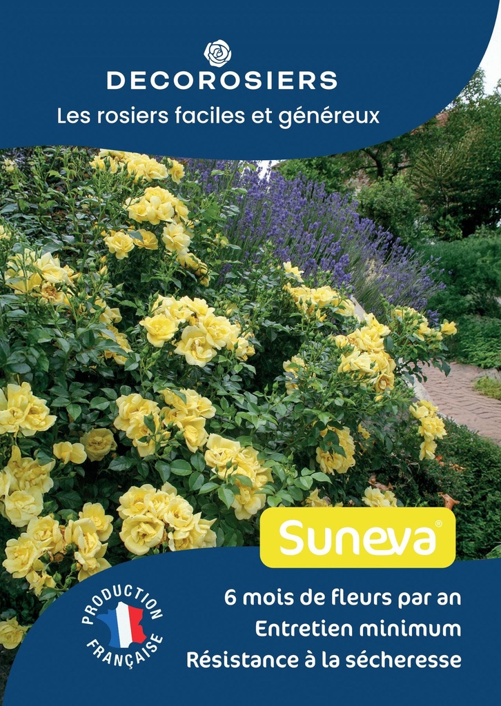 A4_DECOROSIERS_SUNEVA.jpg
