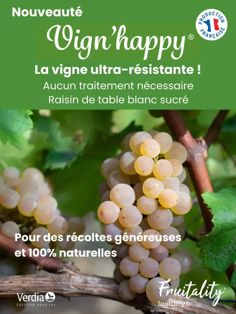 [PLVPANAKIVIG60X80] Panneau akilux Vignhappy® 60x80cm.webp