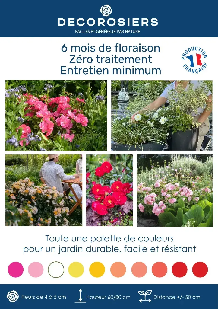 [PLVAFFPVCGAMMEDECO] _Affiche PVC DECOROSIERS_® A4.webp