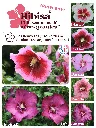 AKILUX_HIBISA_60x80_2025.webp