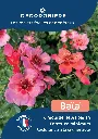 A4_DECOROSIERS_BAIA.webp