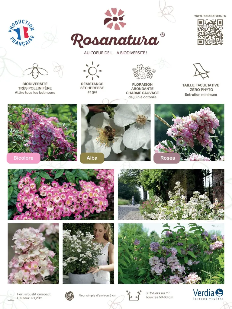 Akilux Rosanatura.webp