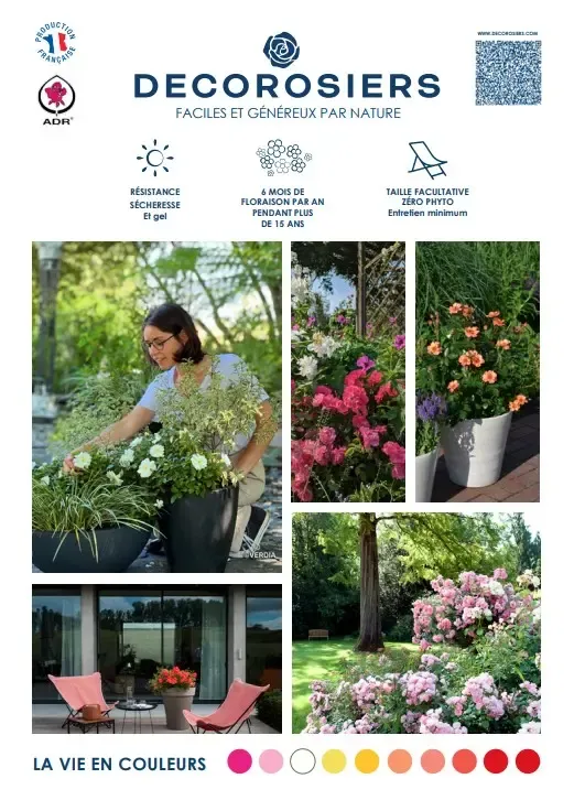 [PLVFLYERDECOPART] Plaquette DECOROSIERS® PARTICULIER A4 recto-verso.webp