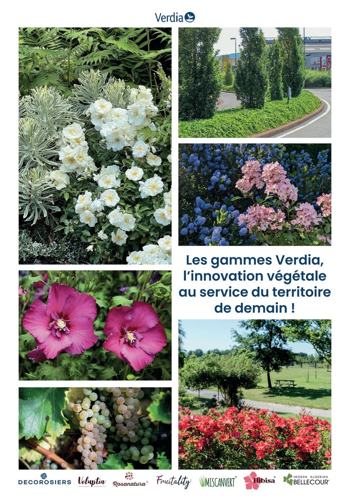 GUIDE DES GAMMES_07.26 (Page 1).jpg