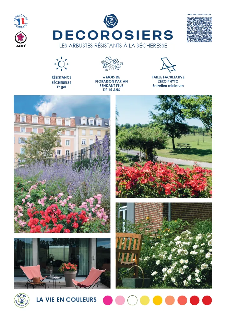 PLAQUETTE_DECOROSIERS_PAYSAGE (2)_pages-to-jpg-0001.webp