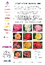 PLAQUETTE_DECOROSIERS_PAYSAGE (2)_pages-to-jpg-0002.webp