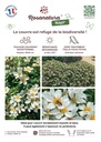 Affiche Rayon A4 Napi_desmartis.jpg