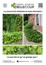 _Affiche Rayon Hedera Algerian Bellecour_desmartis.jpg