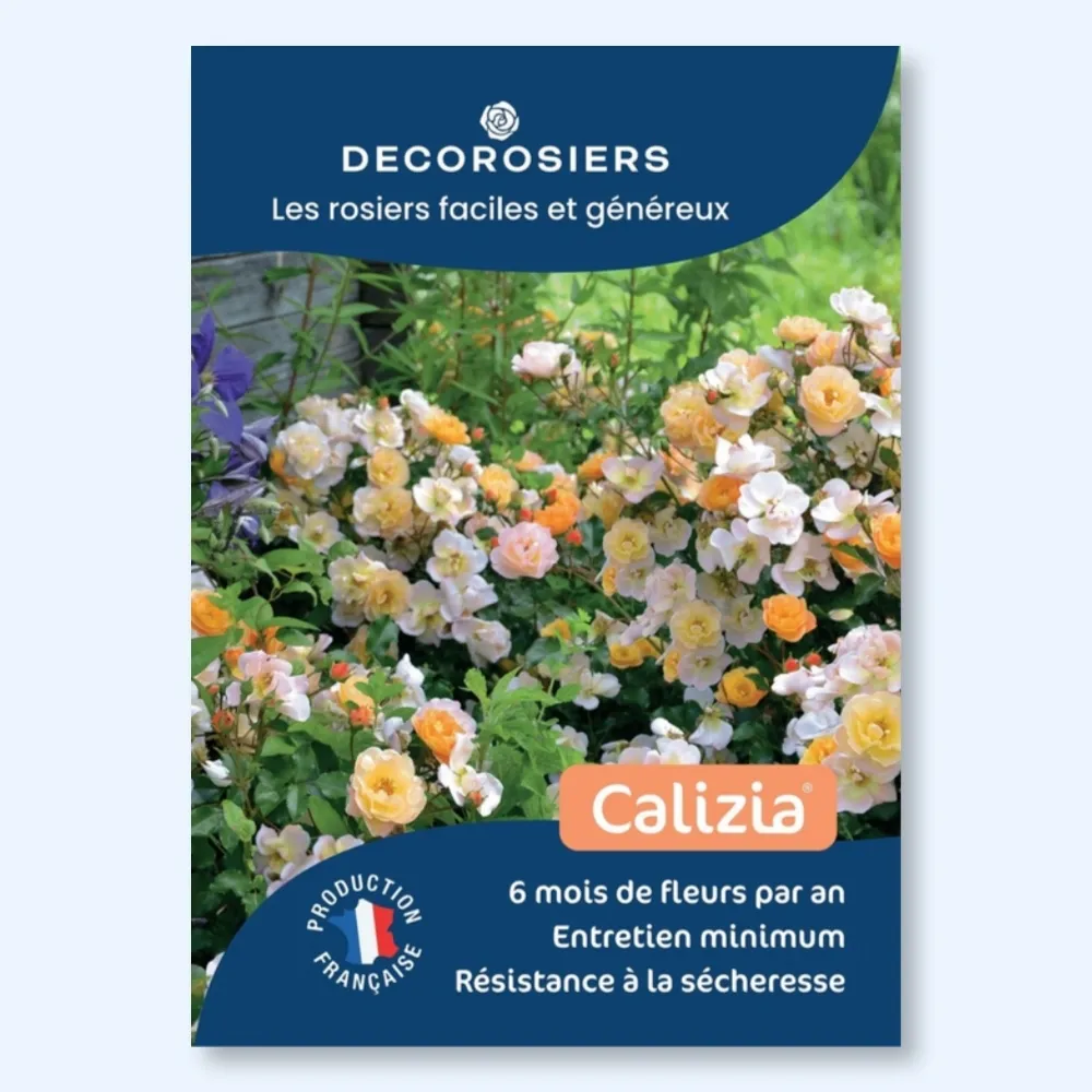 [PLVAFFPVCCAL] Affichette A4 PVC DECOROSIERS® Calizia®