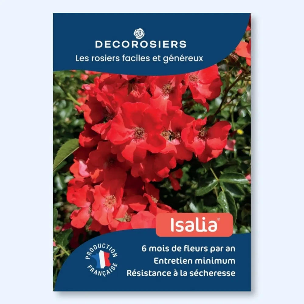 [PLVAFFPVCISA] Affichette A4 PVC DECOROSIERS® Isalia®