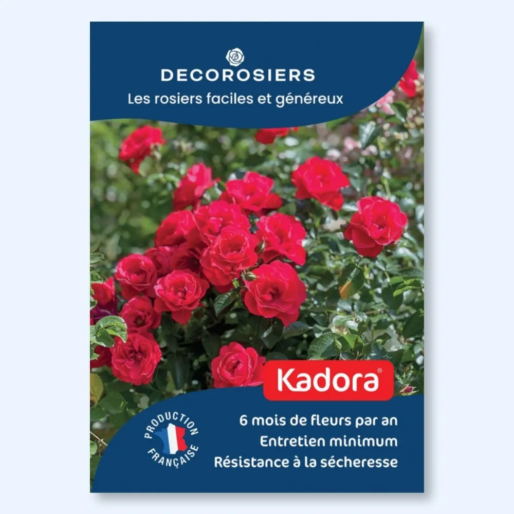 [PLVAFFPVCKAD] Affichette A4 PVC DECOROSIERS® Kadora®