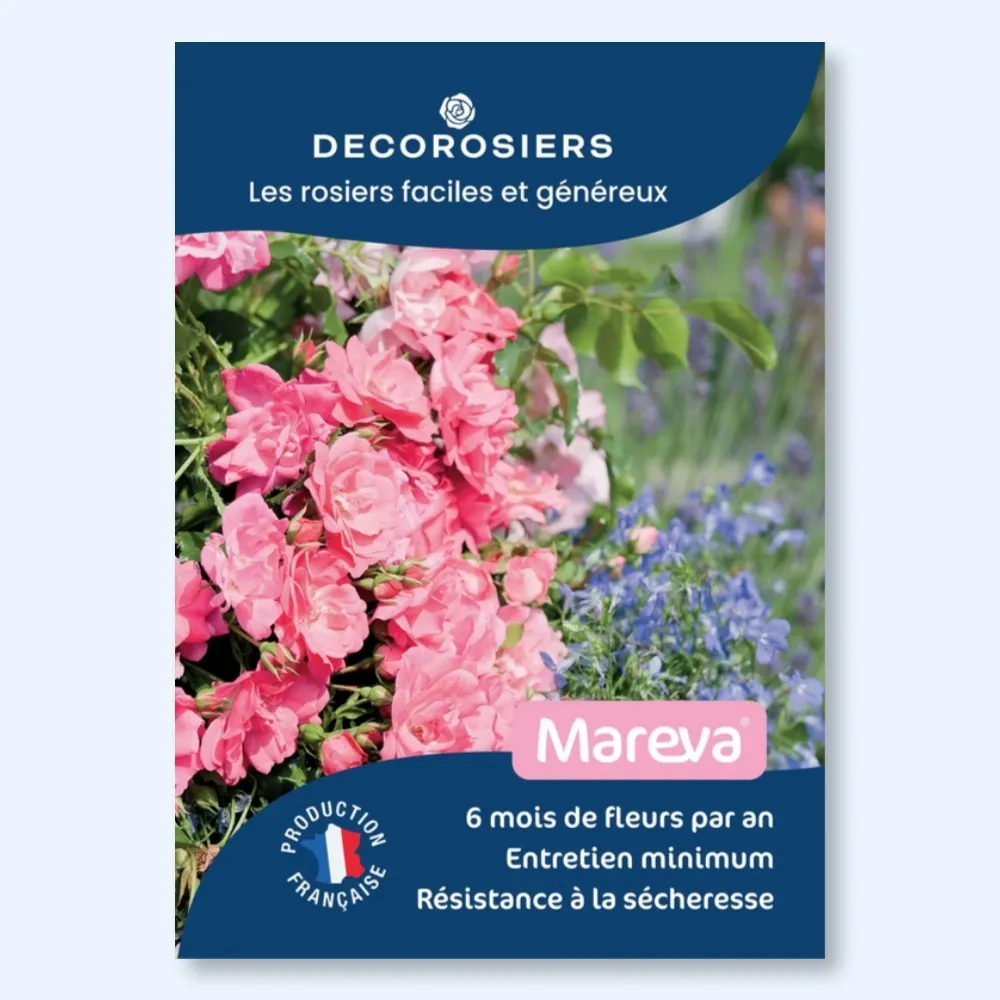 [PLVAFFPVCMAR] Affichette A4 PVC DECOROSIERS® Mareva®