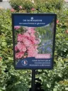 Affichette PVC DECOROSIERS® Mareva®