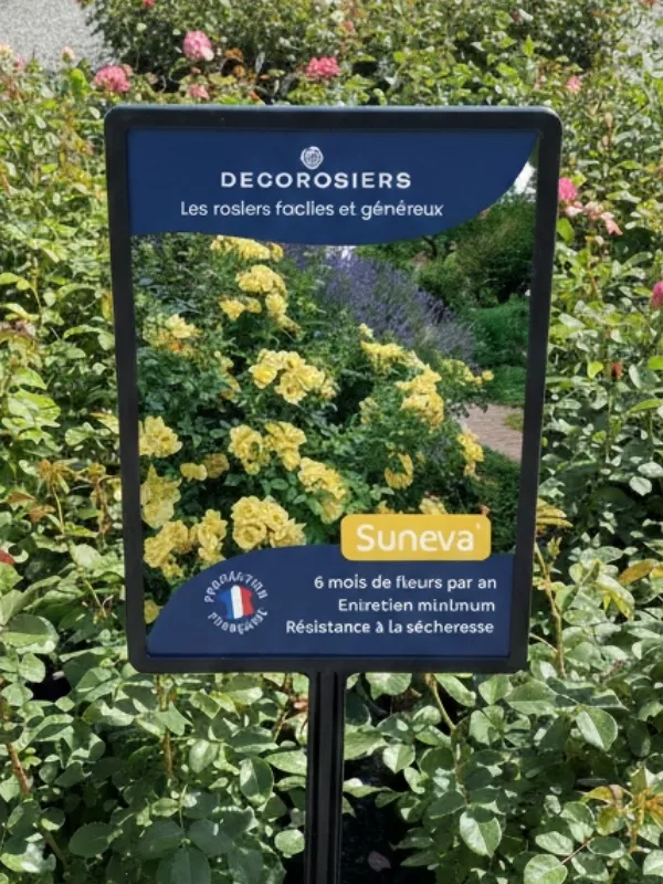 Affichette PVC DECOROSIERS® Suneva®