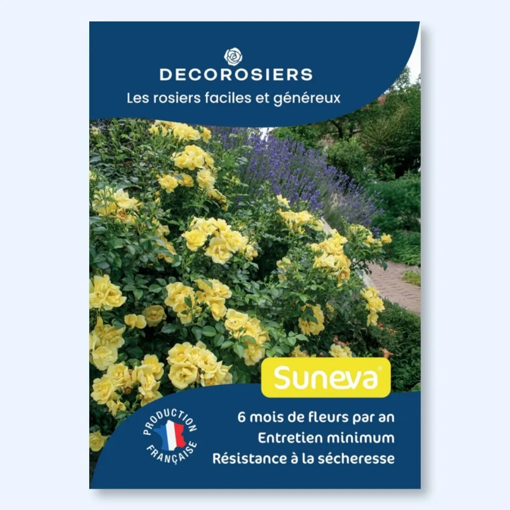 [PLVAFFPVCSUN] Affichette PVC DECOROSIERS® Suneva®