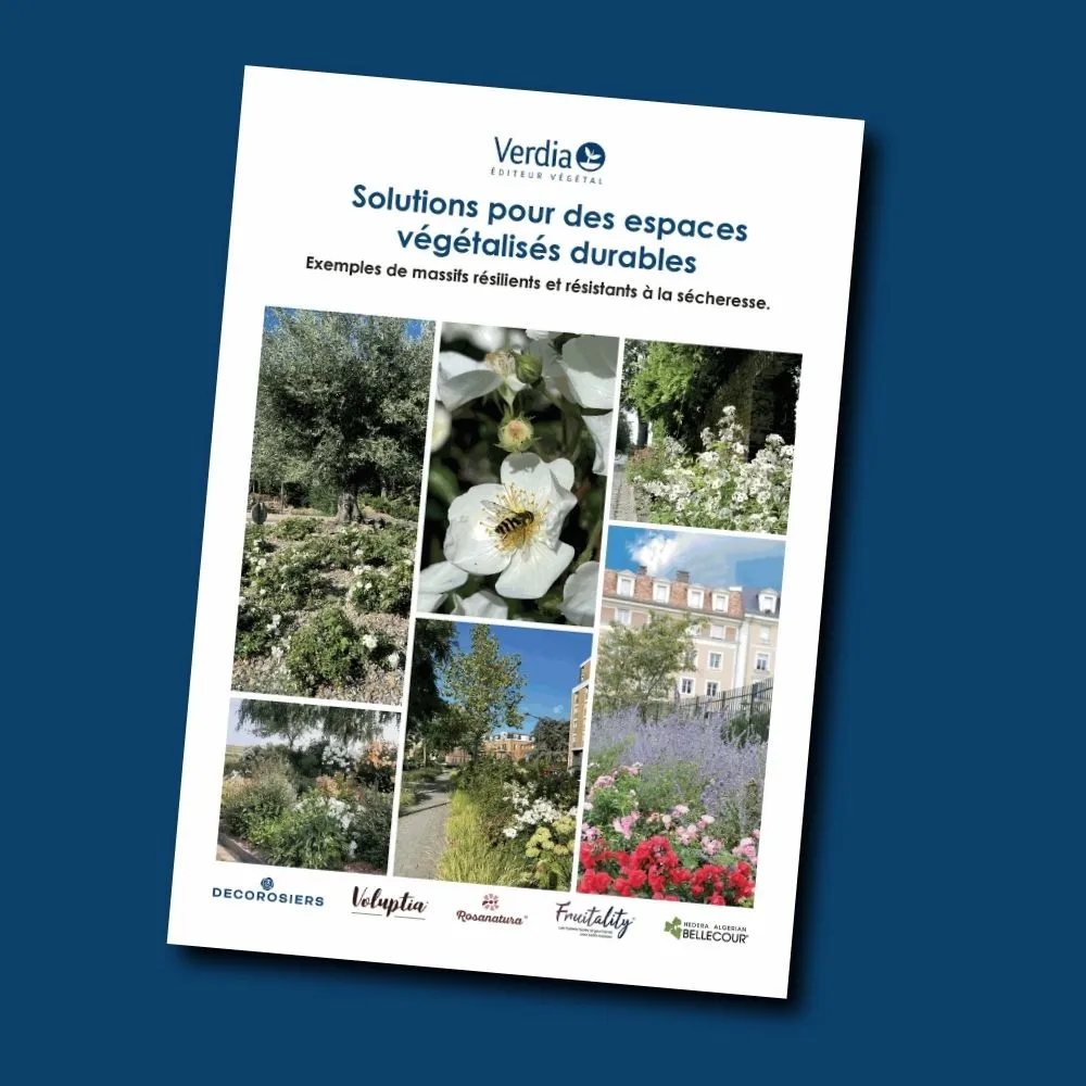 [PLVGUIDE] Guide des solutions pour des espaces végétalisés durables