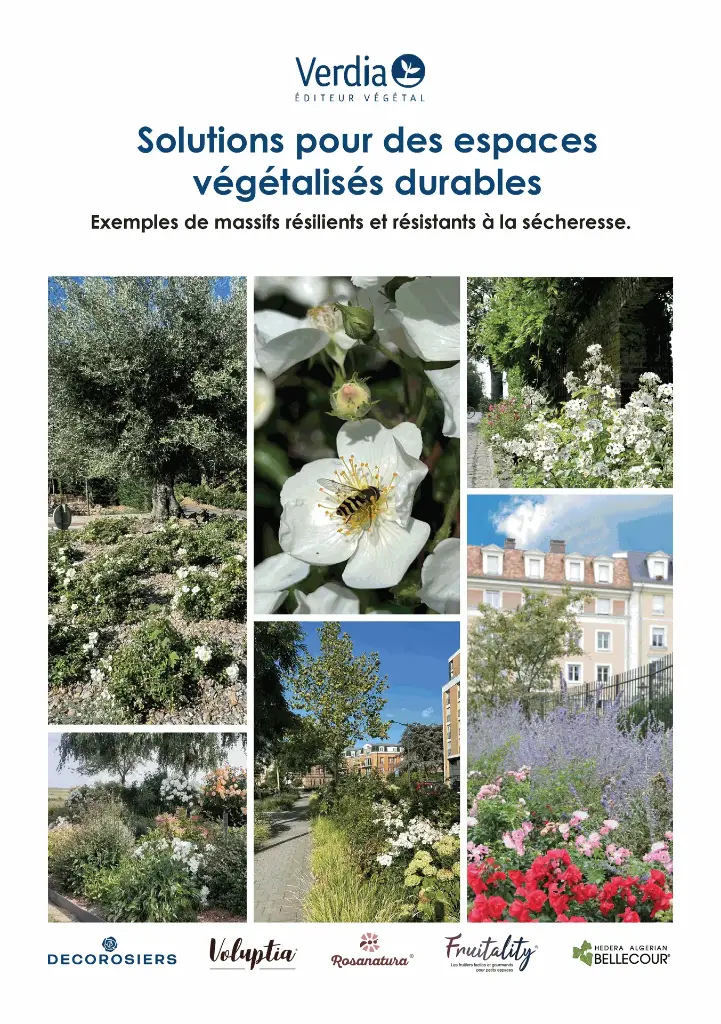 [PLVGUIDE] Guide des solutions pour des espaces végétalisés durables