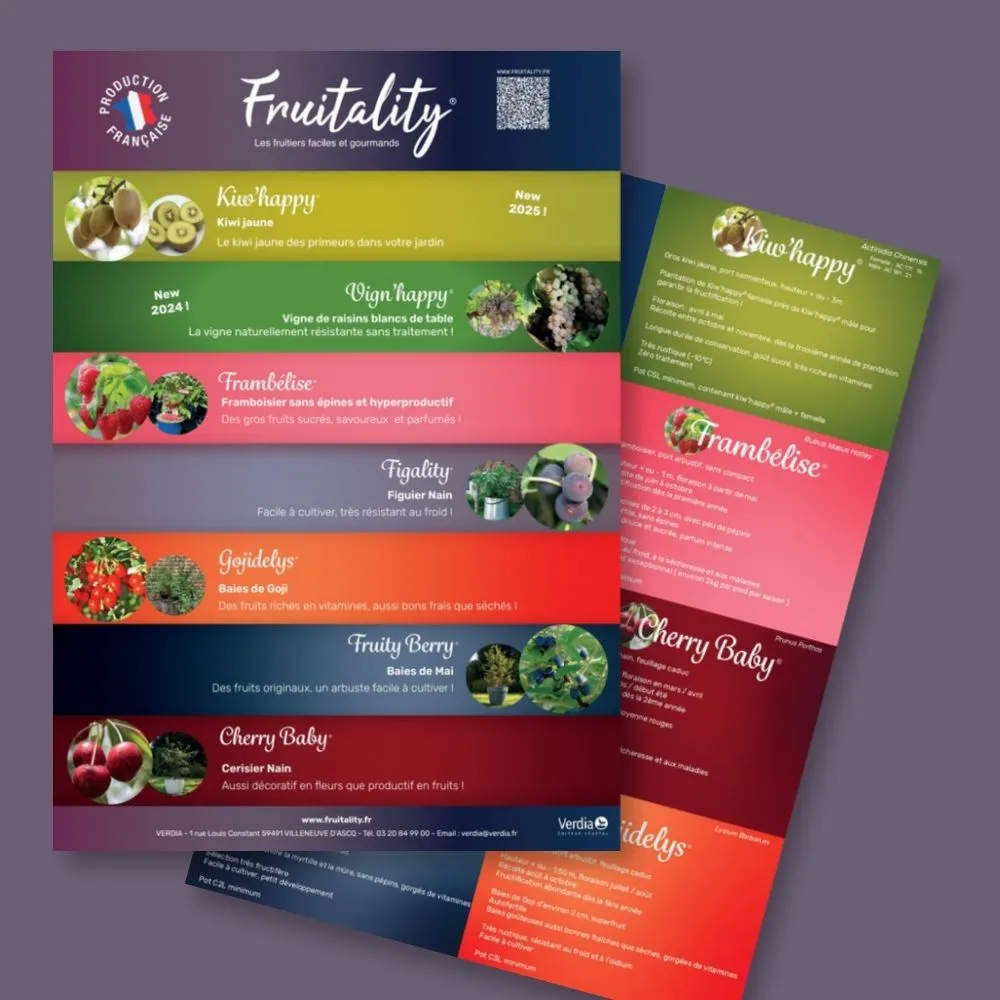 Plaquette A4 FRUITALITY® recto verso