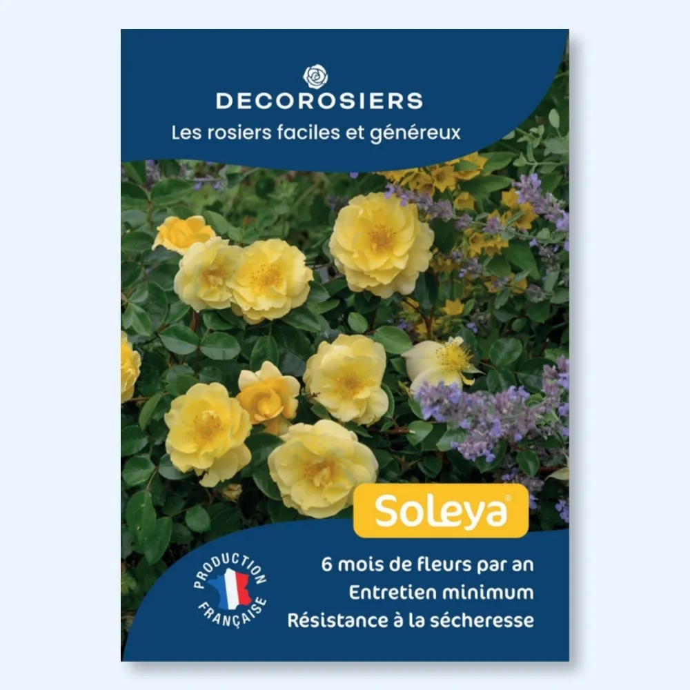[PLVAFFPVCSOL] Affichette PVC DECOROSIERS® Soleya®