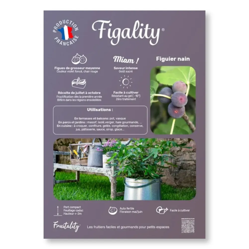 Affichette PVC FRUITALITY® Figality®