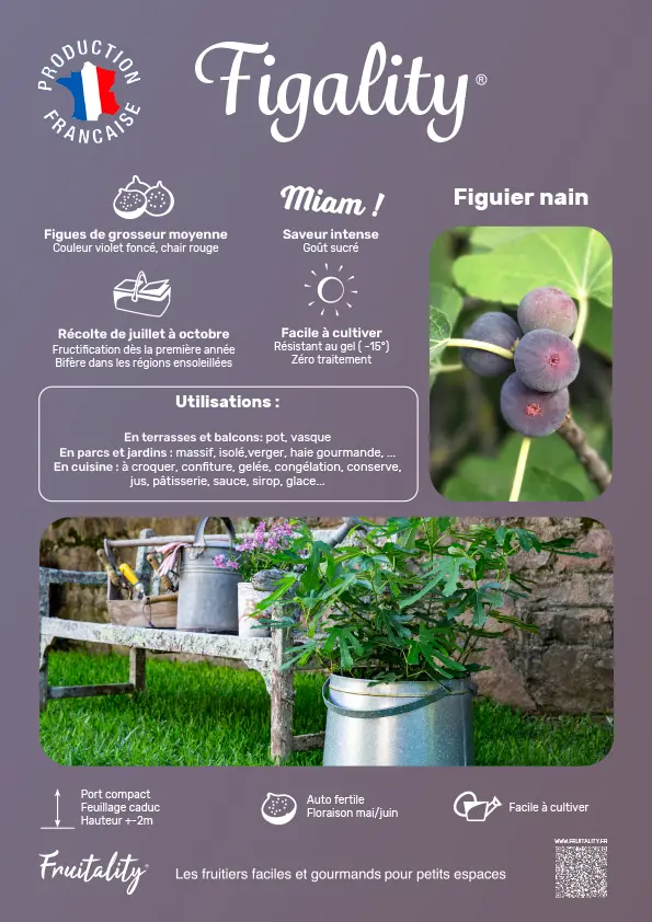 Affichette PVC FRUITALITY® Figality®