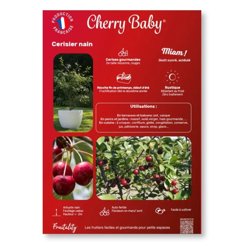 Affichette PVC FRUITALITY® Cherry Baby®