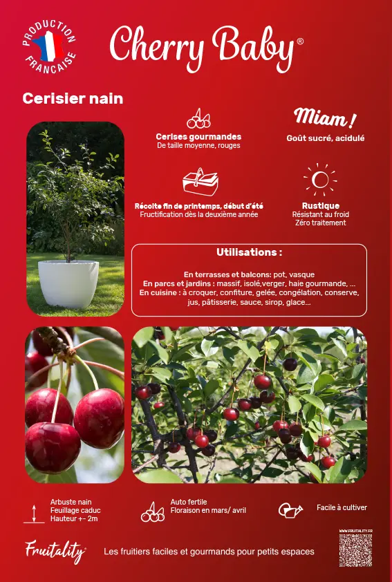 Affichette PVC FRUITALITY® Cherry Baby®