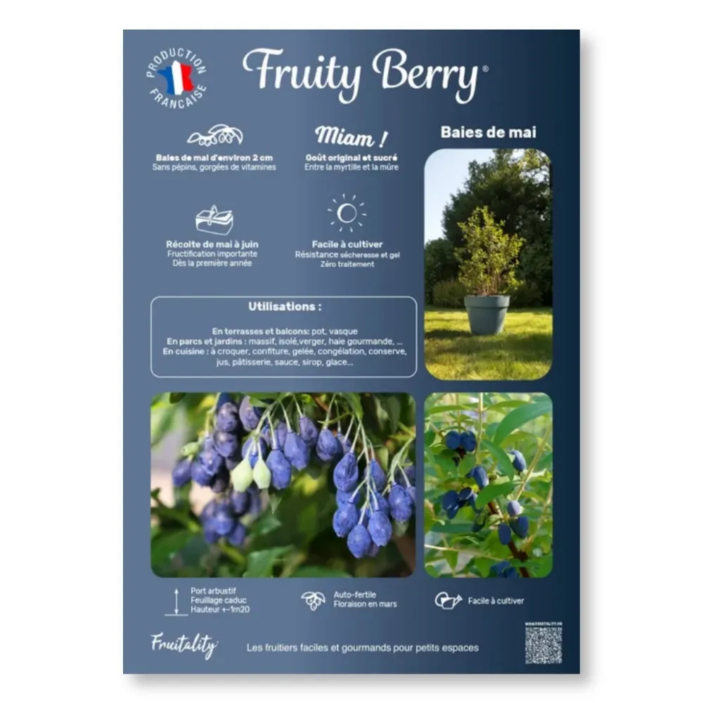 Affichette PVC FRUITALITY® Fruity Berry®