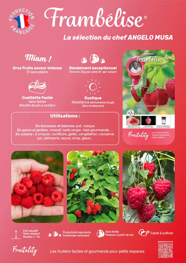 Affichette PVC FRUITALITY® Frambelise®