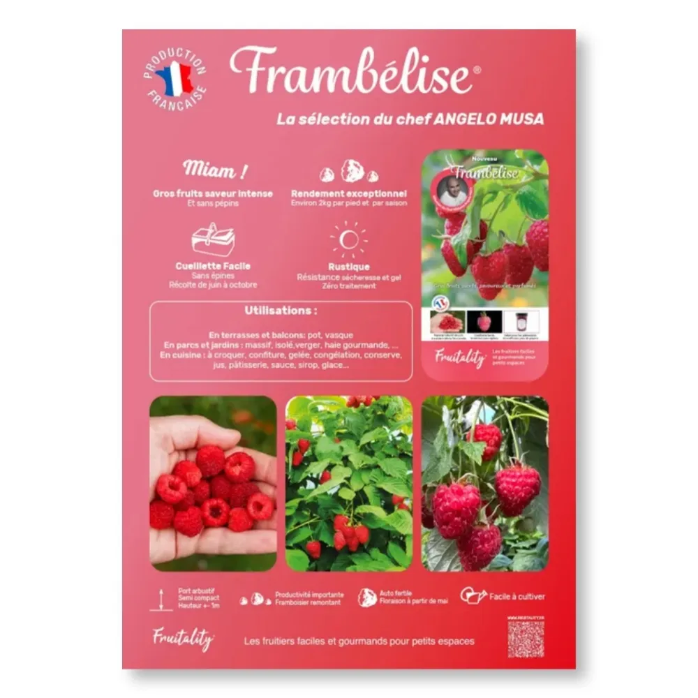 Affichette PVC FRUITALITY® Frambelise®