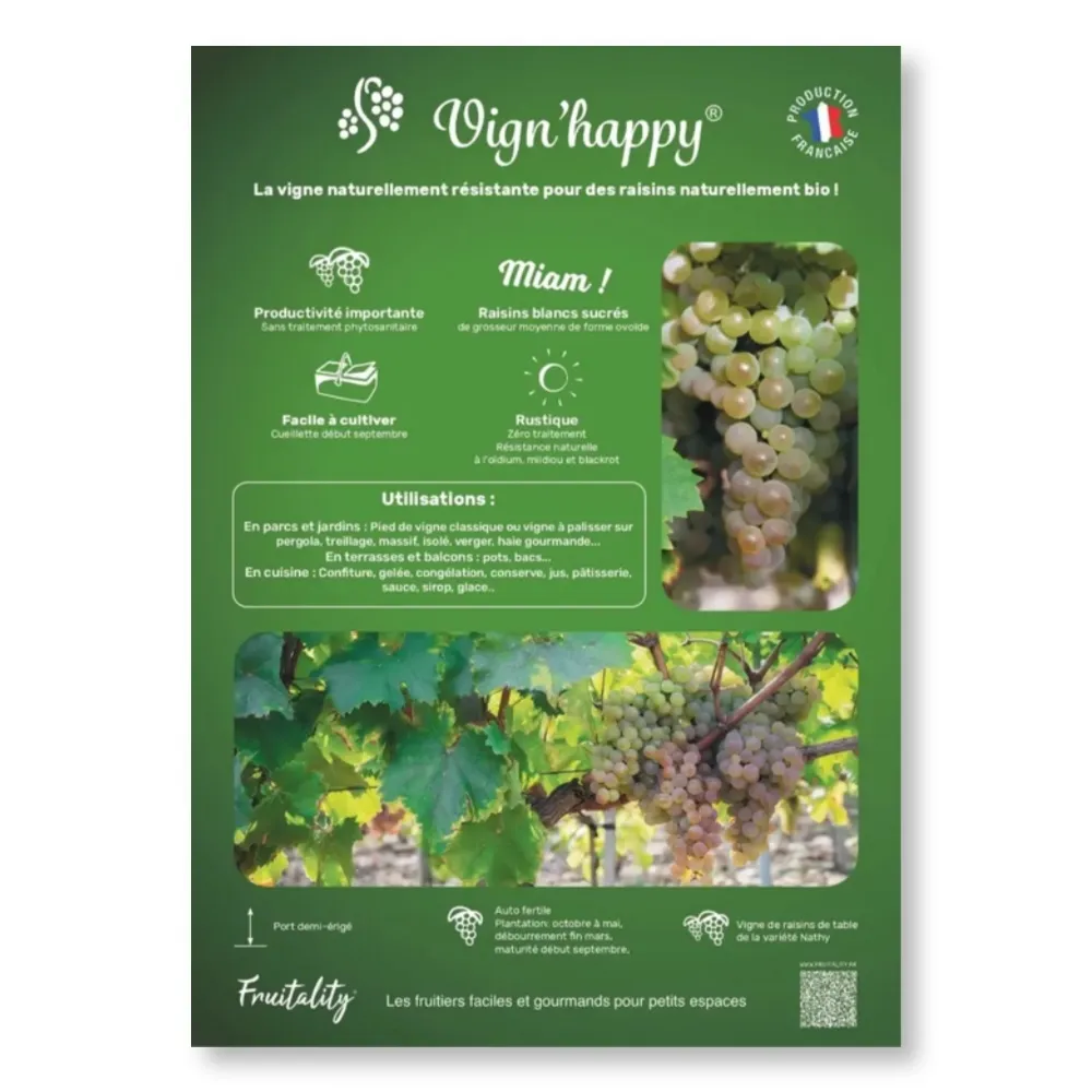 Affichette PVC FRUITALITY® Vign'Happy®