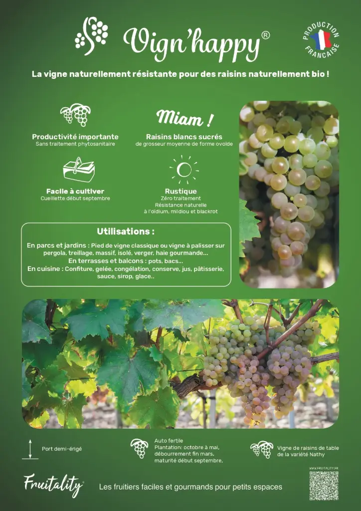 Affichette PVC FRUITALITY® Vign'Happy®