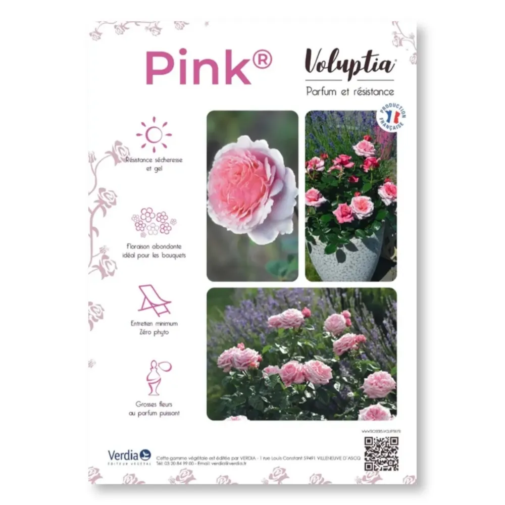 Affichette PVC VOLUPTIA® Pink®