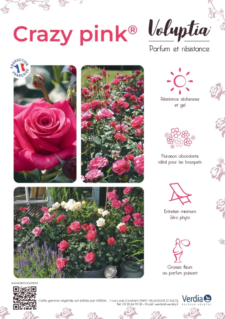 Affichette PVC VOLUPTIA® Crazy Pink®