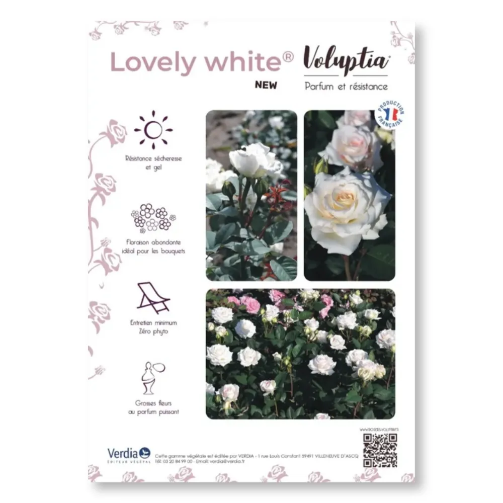 Affichette PVC VOLUPTIA® Lovely White®