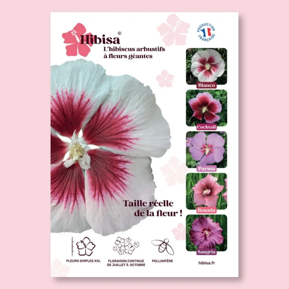 ​Affichette PVC HIBISA BLANCO