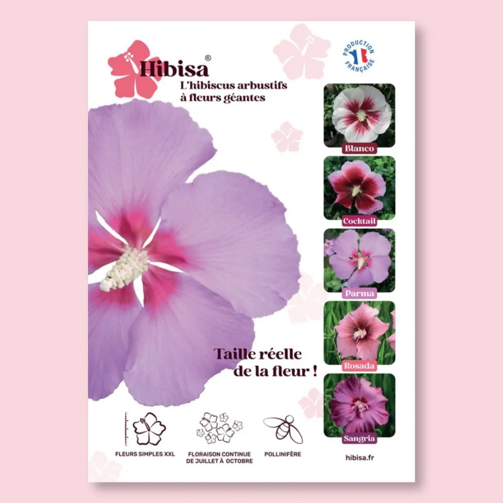 ​Affichette PVC HIBISA PARMA