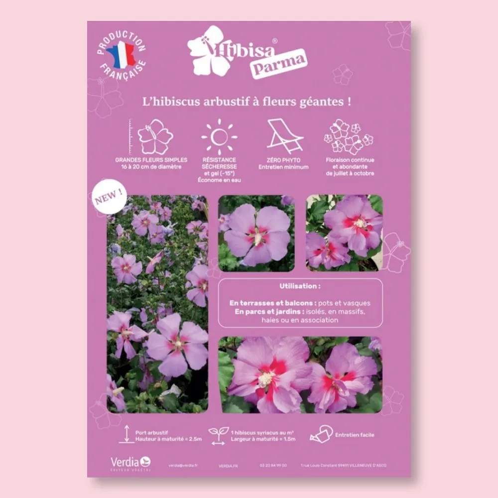 ​Affichette A4 PVC HIBISA PARMA