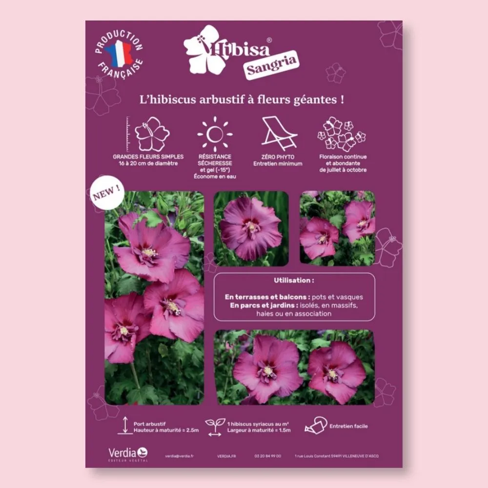 ​Affichette A4 PVC HIBISA SANGRIA