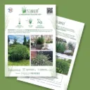 Plaquette A4 Miscanvert® recto verso