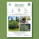 ​Affichette A4 PVC MISCANVERT®