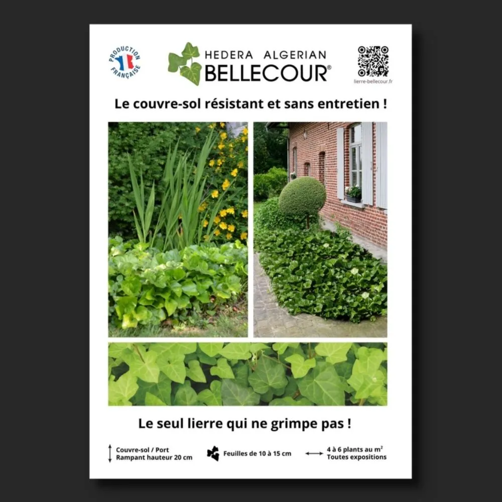 ​Affichette A4 PVC BELLECOUR®