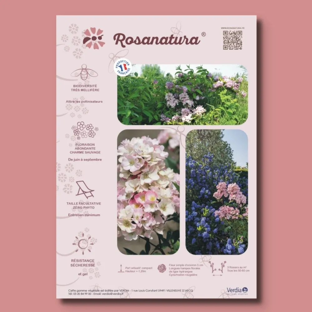 ​Affichette A4 PVC ROSANATURA ROSEA